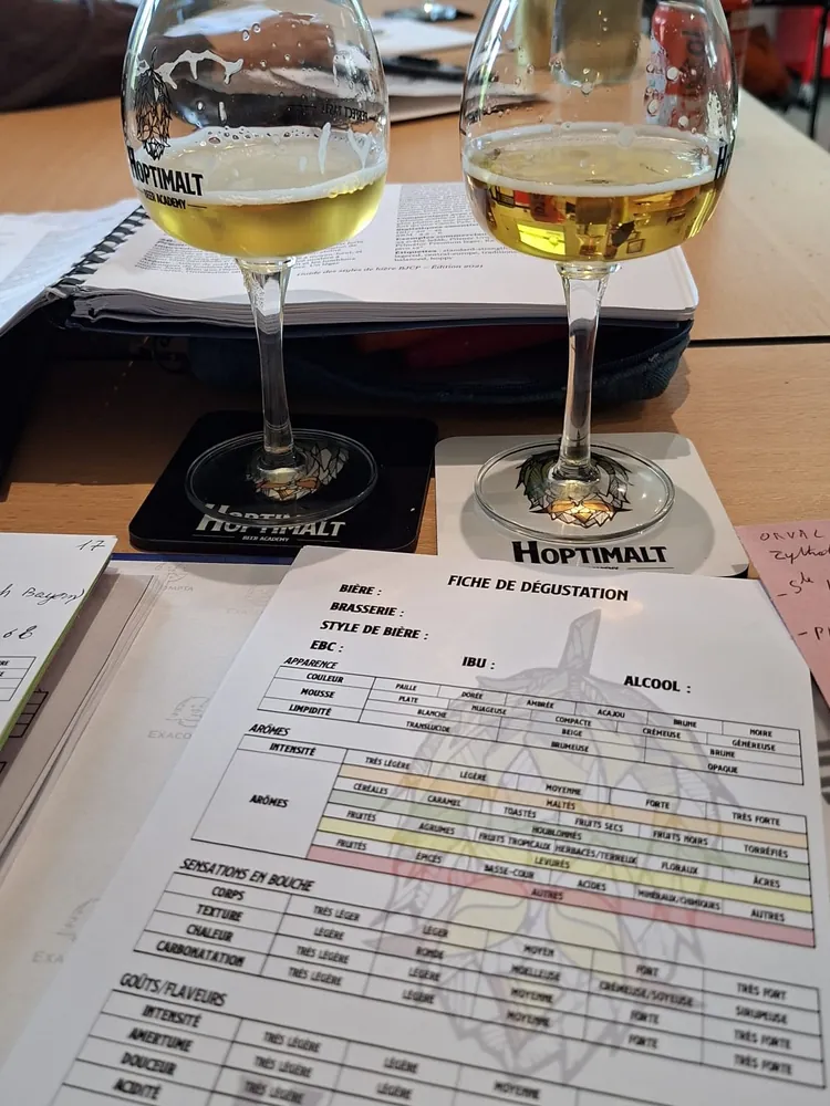 Deux verres de bière blonde sur des sous-verres Hoptimalt, devant une fiche de dégustation vierge