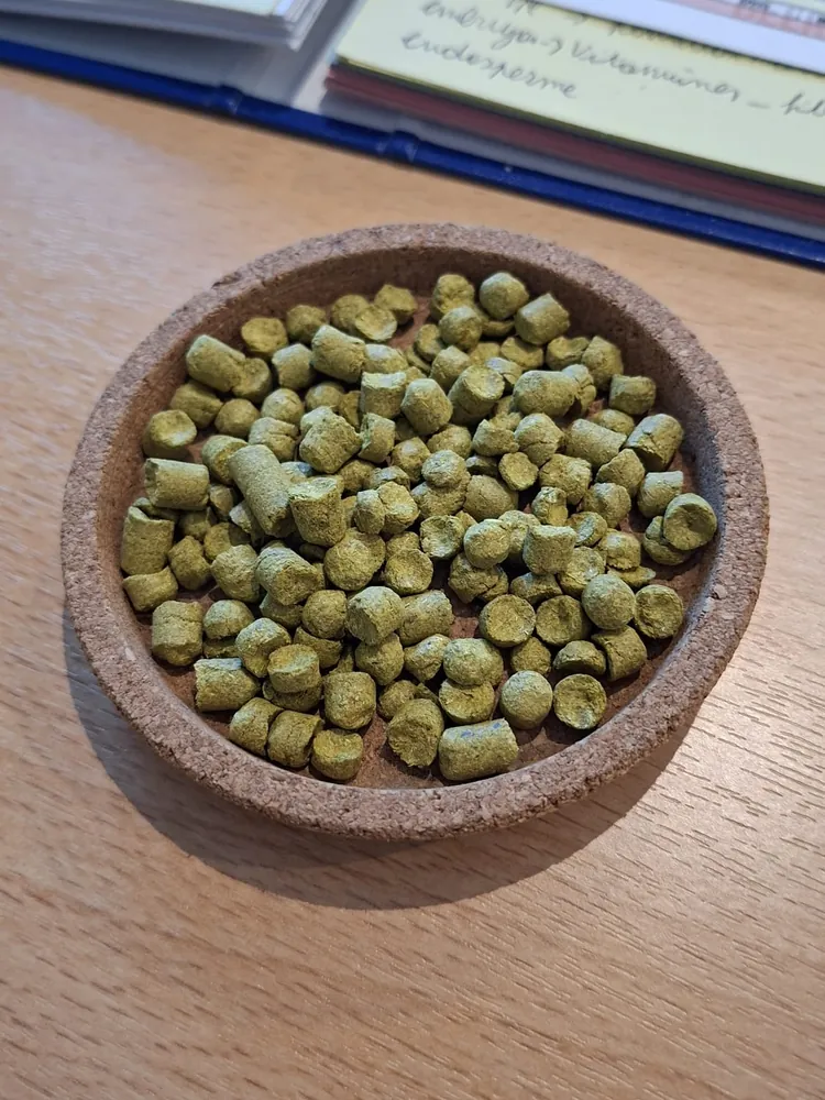 Coupelle en liège remplie de pellets de houblon vert