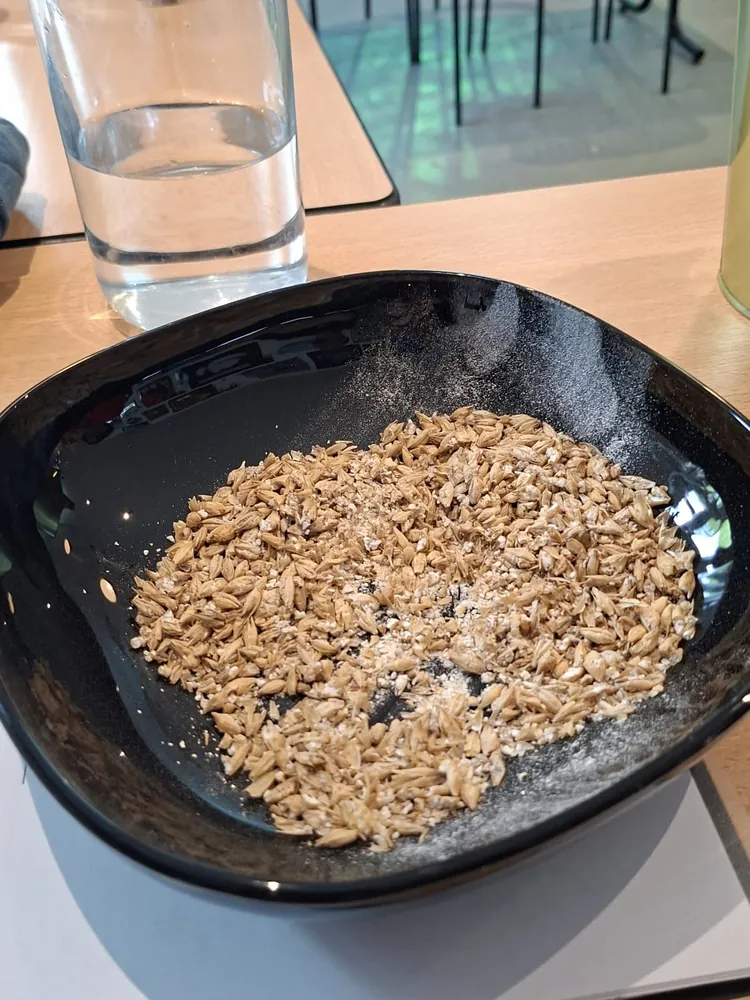 Bol de grains d'orge maltée concassés, posé sur la table de formation